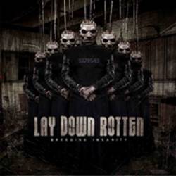 Lay Down Rotten : Breeding Insanity